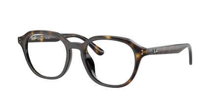 Rayban RB 7259D 2012 52-19