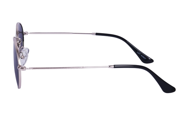 Polarview PV 100 A