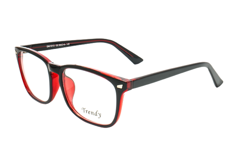 Trendy  DM 1013 C2 53-18