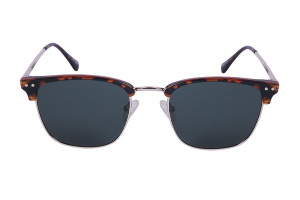 Polarview PV 300 B