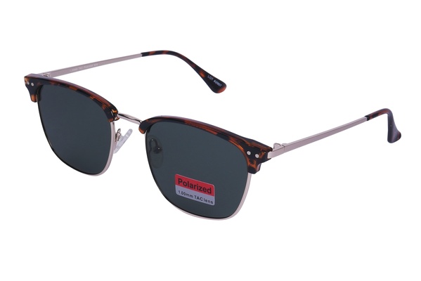 Polarview PV 300 B