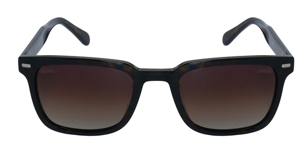 Icone GF 105 C2 54-20