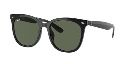 Rayban RB 4379D 601/71 55-19