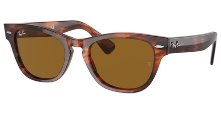 Ray-Ban RB 2201 954/33 54-20