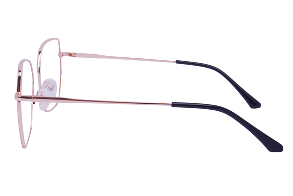 Alice 884204 C3 54-17