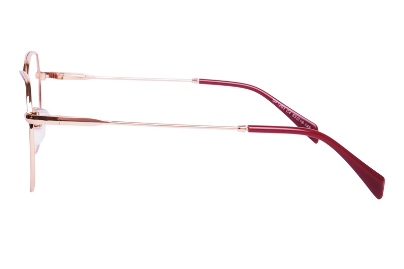 Trendy GF 1293 C4 53-19