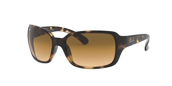 Rayban RB 4068 710/51 60-17