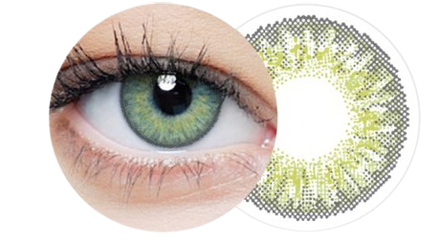 Clear Color 55 (Olive FL312N)