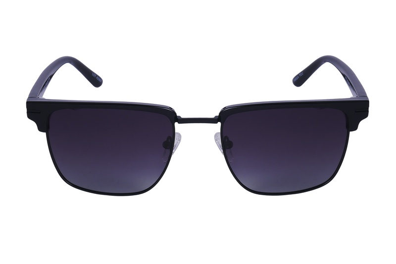 Polarview PV 310 A