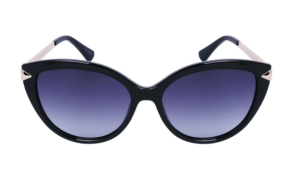 Polarview PV 850 A