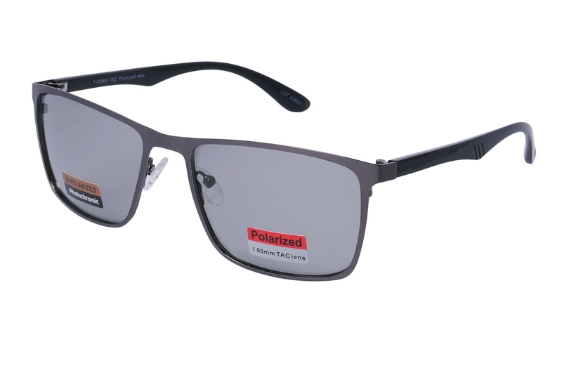 Polarview PV 500 F