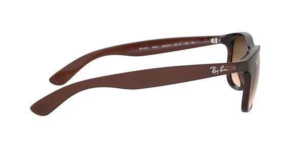 Rayban RB 4202 6073/13 55-17