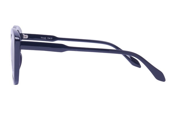 Trendy PL498 C01 54-19