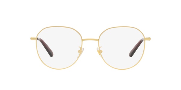 Versace 1282D 1491 53-19