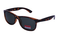 polarview, PV 60, vīriešiem, apaļas / ovālas, polarizēts, plastmasa