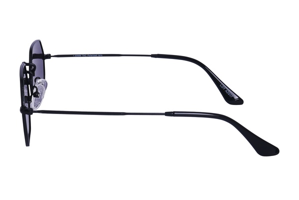 Polarview PV 110 C