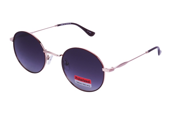 Polarview PV 700 C