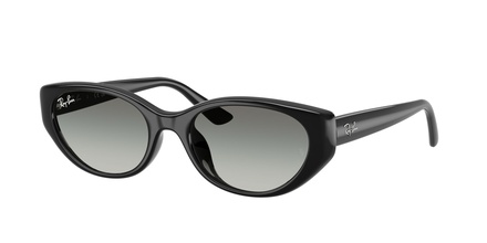 Rayban RB 4457D 6677/11 55-19