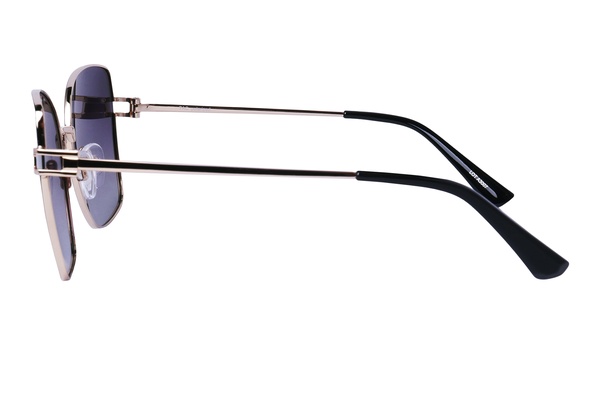 Polarglare PG 5513A BLACK/GOLD 59-18