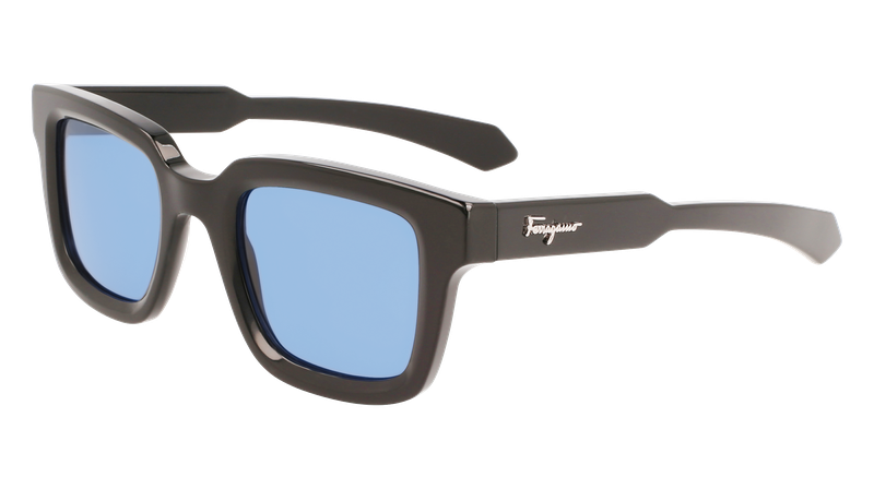 Ferragamo SF 1064S 001 48-23