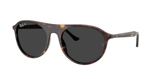rayban, RB 2215, vīriešiem, apaļas / ovālas, polarizēts, plastmasa