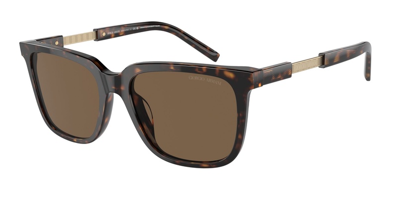 G.armani AR 8202U 5879/73 55-18