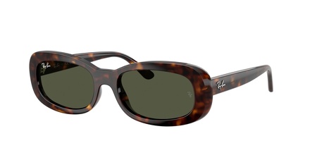 Rayban RB 2221 902/31 56