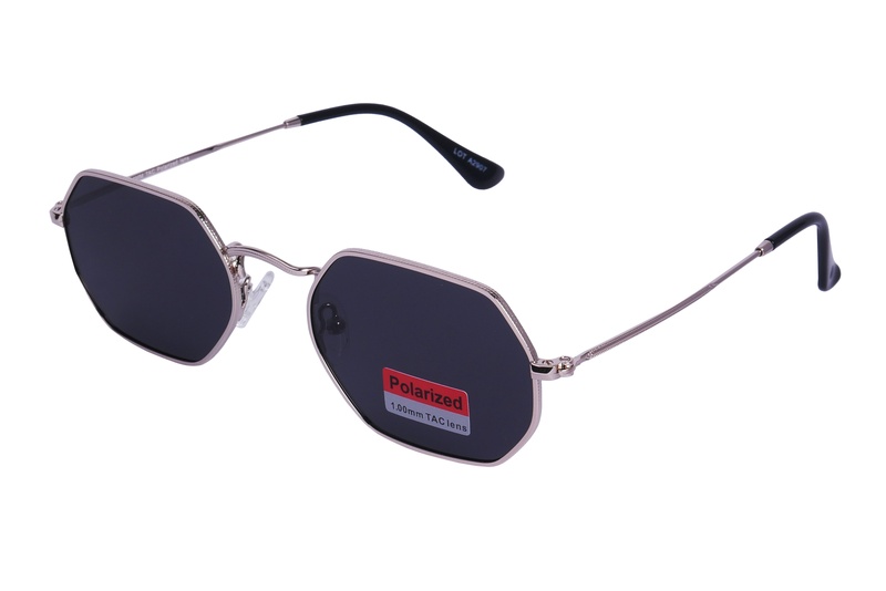 Polarview PV 110 A