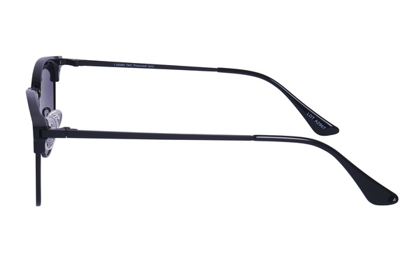Polarview PV 300 A