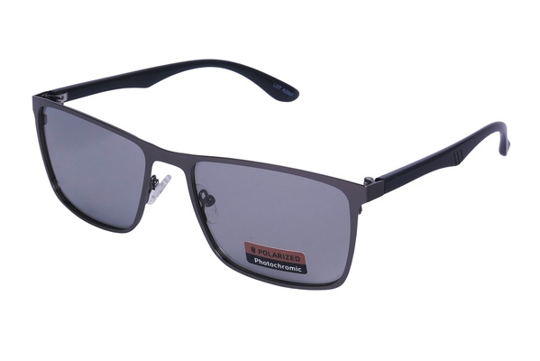 Polarview PV 500 F