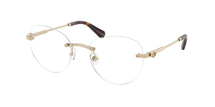 Swarovski SK 1021 4013 53