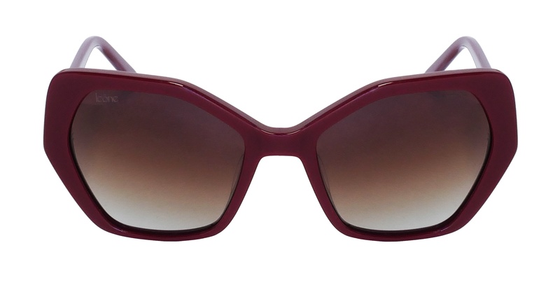 Icone GF 106 C2 55-18