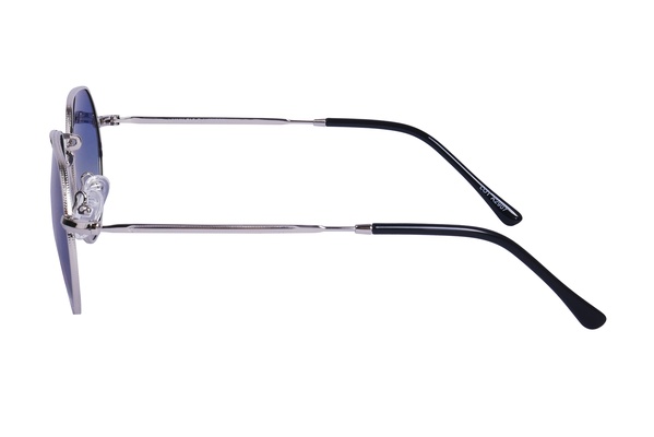 Polarview PV 130 C