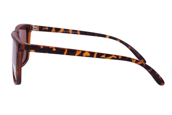 Trendy P 6004 C3 53-18