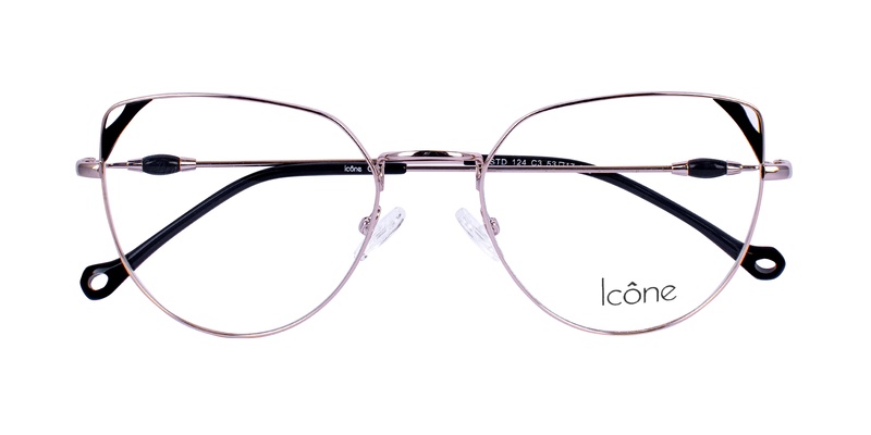 Icone STD 124 C3 53-17