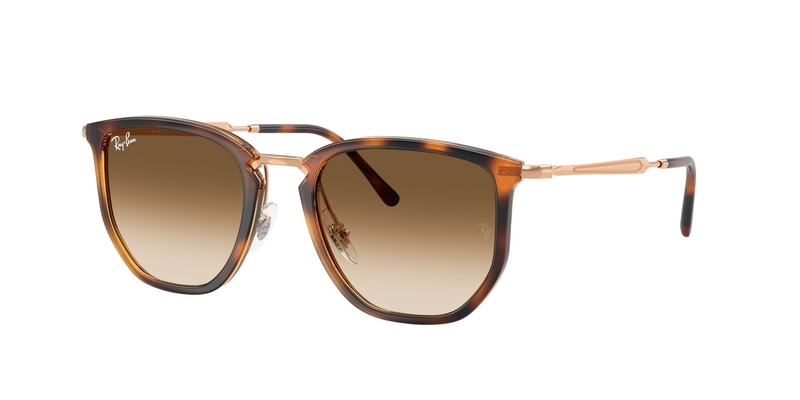 Rayban RB 4451 6804/51 53-20