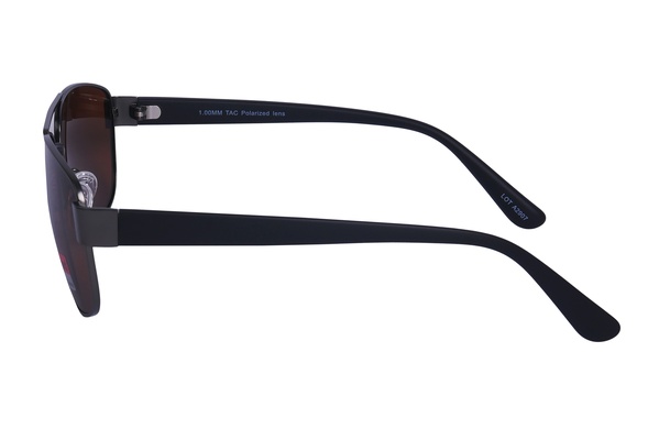 Polarview PV 520 C