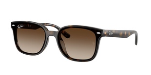 rayban, RB 4461D, vīriešiem, stūrains, plastmasa