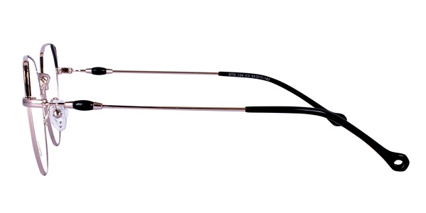 Icone STD 124 C3 53-17