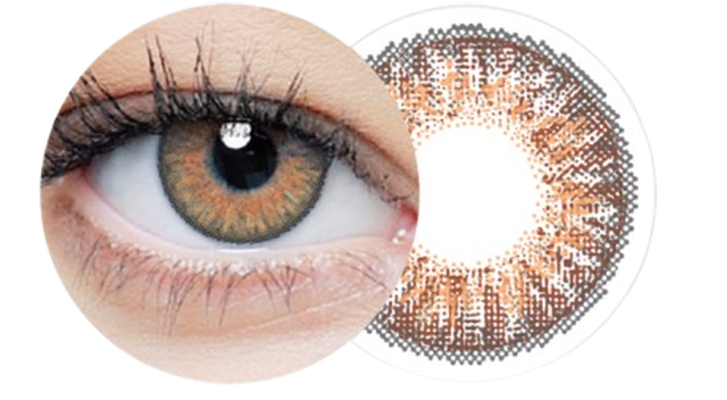 Clear Color 55 (Brown FL306N)