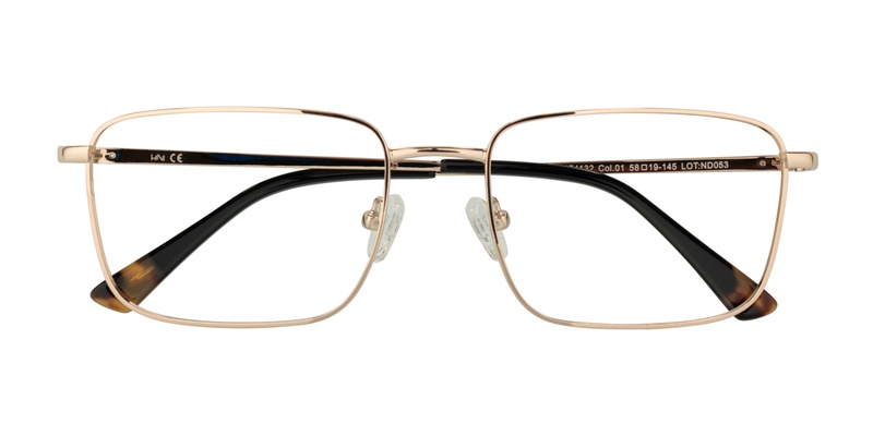 H1N1 HF 4132 01 58-19