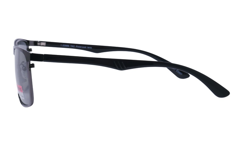 Polarview PV 500 F