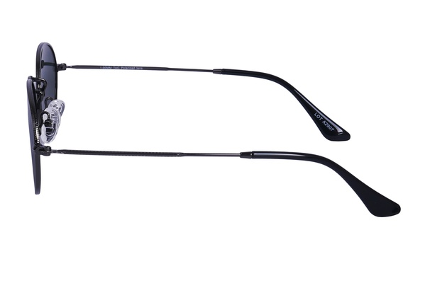 Polarview PV 100 B