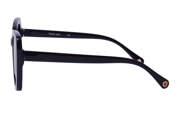 Trendy 2238 C2 53-17