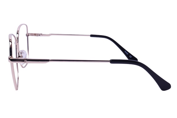 Trendy 6087 C1 55-19