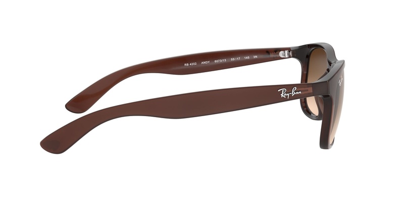 Rayban RB 4202 6073/13 55-17