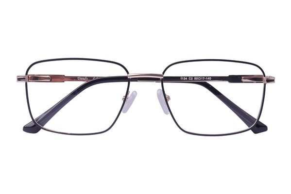 Trendy 1134 C2 55-17