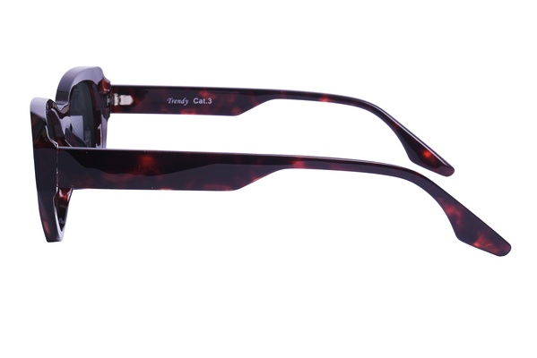 Trendy PL 666 C2 66-16