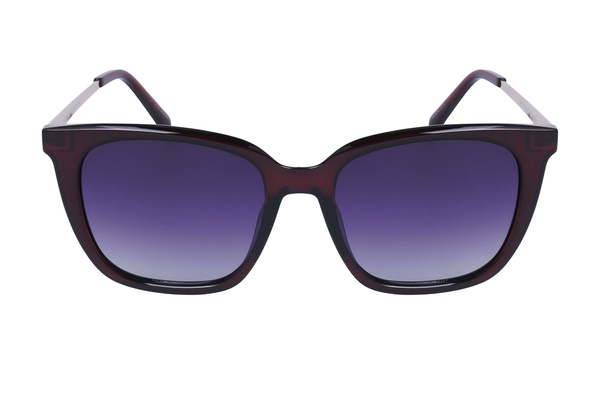 Polarview PV 840 C
