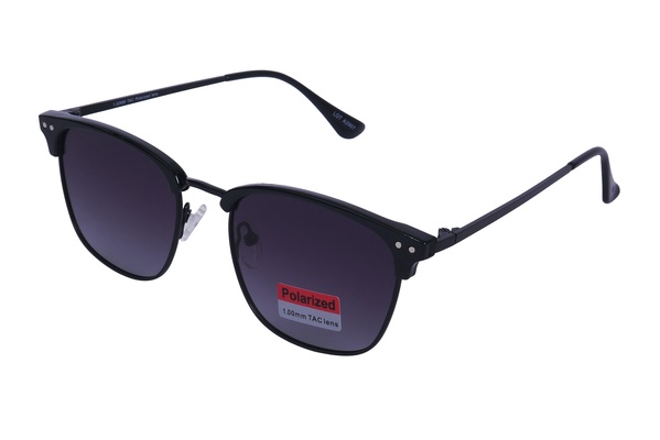 Polarview PV 300 A